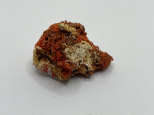 Load image into Gallery viewer, Crocoite
