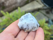 Load image into Gallery viewer, Dendrite opal
