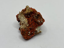 Load image into Gallery viewer, Crocoite
