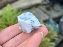 Load image into Gallery viewer, Dendrite opal
