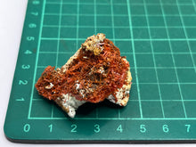 Load image into Gallery viewer, Crocoite
