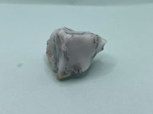 Load image into Gallery viewer, Dendrite opal
