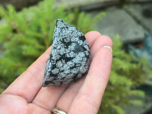 Load image into Gallery viewer, Snowflake obsidian
