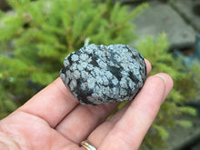 Load image into Gallery viewer, Snowflake obsidian
