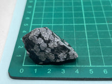 Load image into Gallery viewer, Snowflake obsidian
