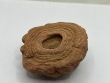 Load image into Gallery viewer, Sand stromatolites (desert onion)
