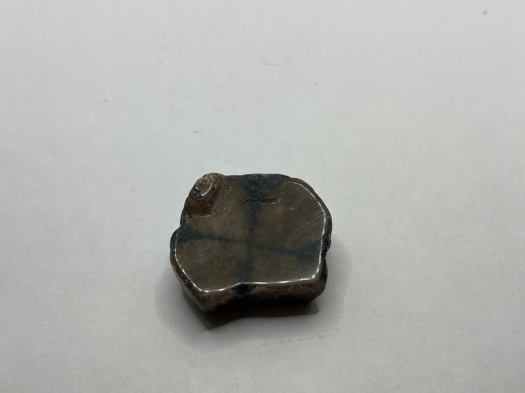 Chiastolite