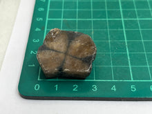 Load image into Gallery viewer, Chiastolite
