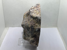 Load image into Gallery viewer, Dugway geode
