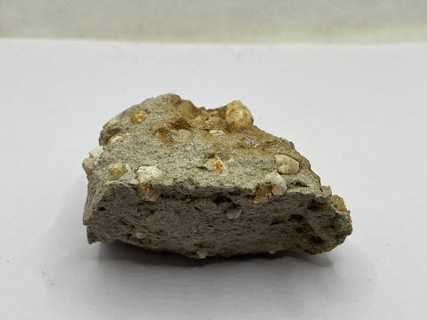 Leucite Xls