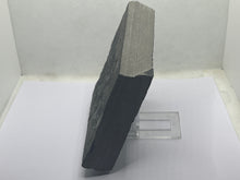 Load image into Gallery viewer, Osteoplepis macrolepidotus fish fossil
