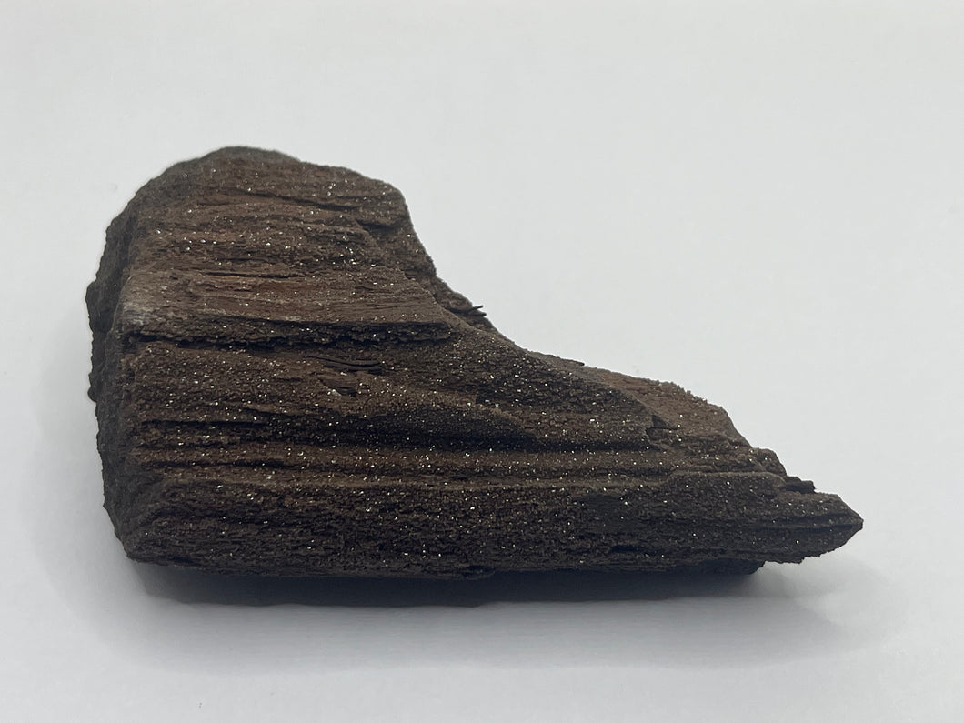 Druzy fossil wood
