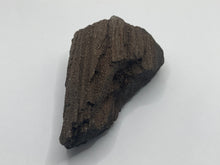 Load image into Gallery viewer, Druzy fossil wood
