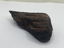 Load image into Gallery viewer, Druzy fossil wood
