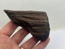 Load image into Gallery viewer, Druzy fossil wood
