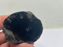 Load image into Gallery viewer, Conifer Fossil Wood
