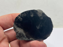 Load image into Gallery viewer, Conifer Fossil Wood
