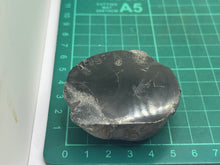 Load image into Gallery viewer, Conifer Fossil Wood
