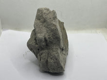 Load image into Gallery viewer, Chalcopyrite
