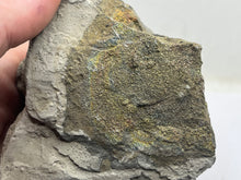 Load image into Gallery viewer, Chalcopyrite
