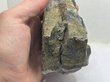 Load image into Gallery viewer, Chalcopyrite
