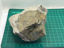 Load image into Gallery viewer, Chalcopyrite
