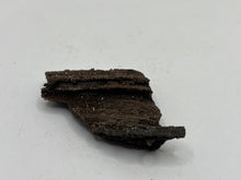 Load image into Gallery viewer, Druzy fossil wood
