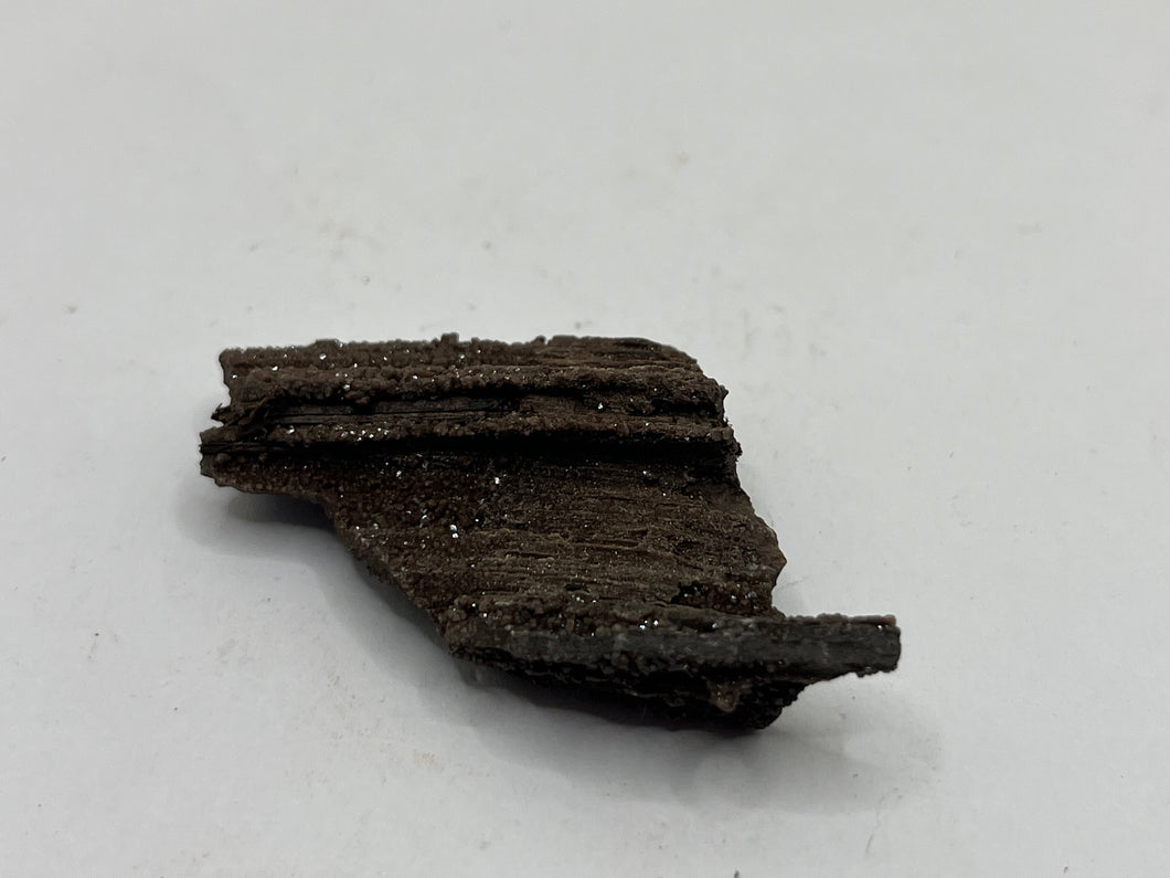 Druzy fossil wood