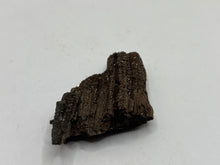 Load image into Gallery viewer, Druzy fossil wood
