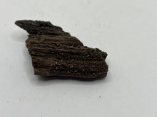 Load image into Gallery viewer, Druzy fossil wood
