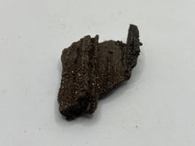Load image into Gallery viewer, Druzy fossil wood
