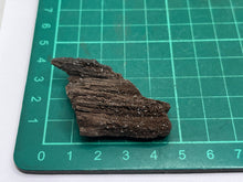 Load image into Gallery viewer, Druzy fossil wood
