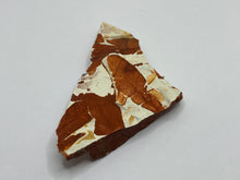 Load image into Gallery viewer, Glossopteris Fossil Fern
