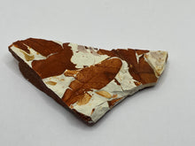 Load image into Gallery viewer, Glossopteris Fossil Fern
