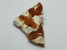 Load image into Gallery viewer, Glossopteris Fossil Fern
