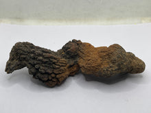 Load image into Gallery viewer, Coprolite Fossil Poo
