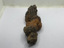 Load image into Gallery viewer, Coprolite Fossil Poo
