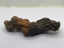 Load image into Gallery viewer, Coprolite Fossil Poo
