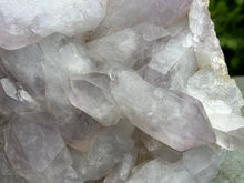 Load image into Gallery viewer, Amethyst
