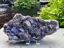 Load image into Gallery viewer, Fluorite
