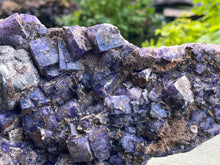 Load image into Gallery viewer, Fluorite
