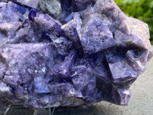 Load image into Gallery viewer, Fluorite
