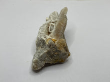 Load image into Gallery viewer, Cactus quartz
