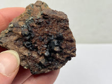 Load image into Gallery viewer, Grossular garnet and chlorite
