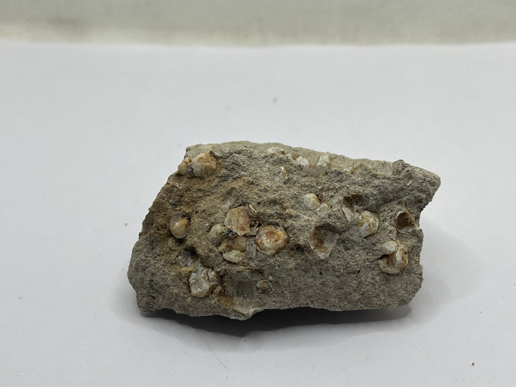 Leucite xls
