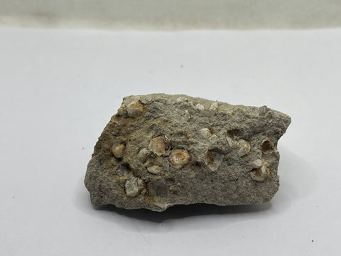 Leucite Xls