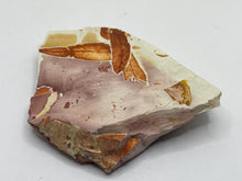 Load image into Gallery viewer, Glossopteris Fossil Fern

