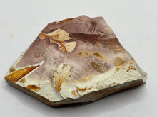 Load image into Gallery viewer, Glossopteris Fossil Fern
