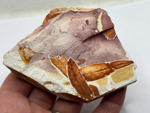 Load image into Gallery viewer, Glossopteris Fossil Fern
