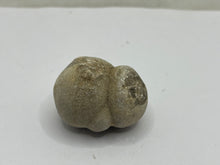 Load image into Gallery viewer, Cave pearl
